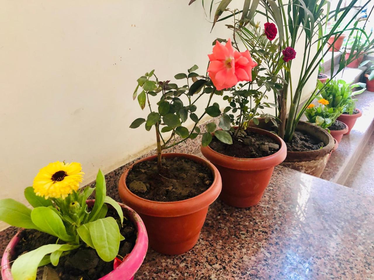 Gangotri Paying Guest House Βαρανάσι Εξωτερικό φωτογραφία